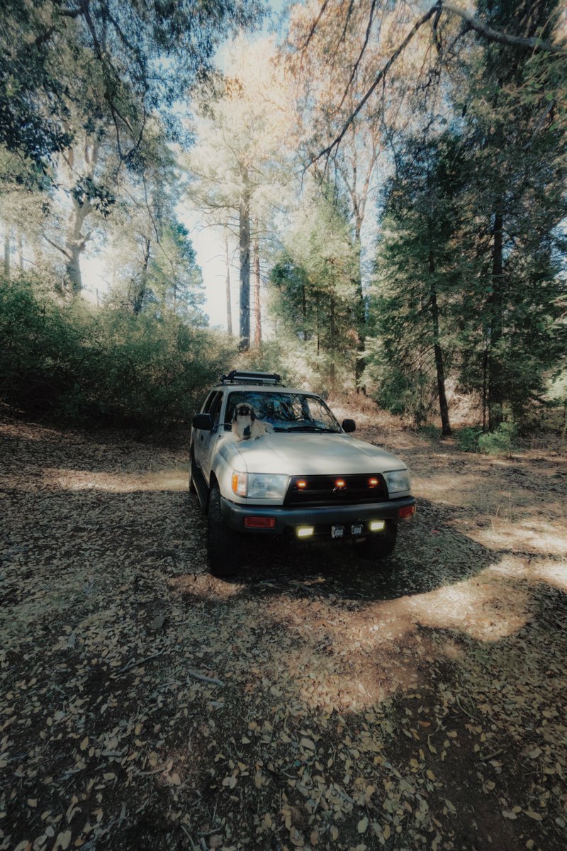 My 4Runner did well today :)