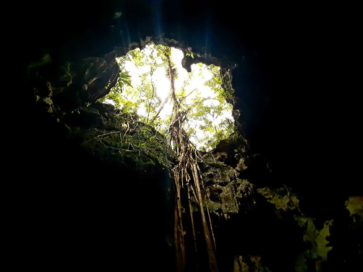 takahashinakemi's tweet photo. Within nature's embrace, in this hidden cave,
A timeless sanctuary, where shadows dance and waves behave.
The earth's ancient whispers, secrets it does save,
In this sacred haven, where wonder and mystery pave the way. 🌿🌄 
#NaturalCave
#Nature 
#NaturalBeauty 
#Harmony 
#Wonder 
#WildernessMagic