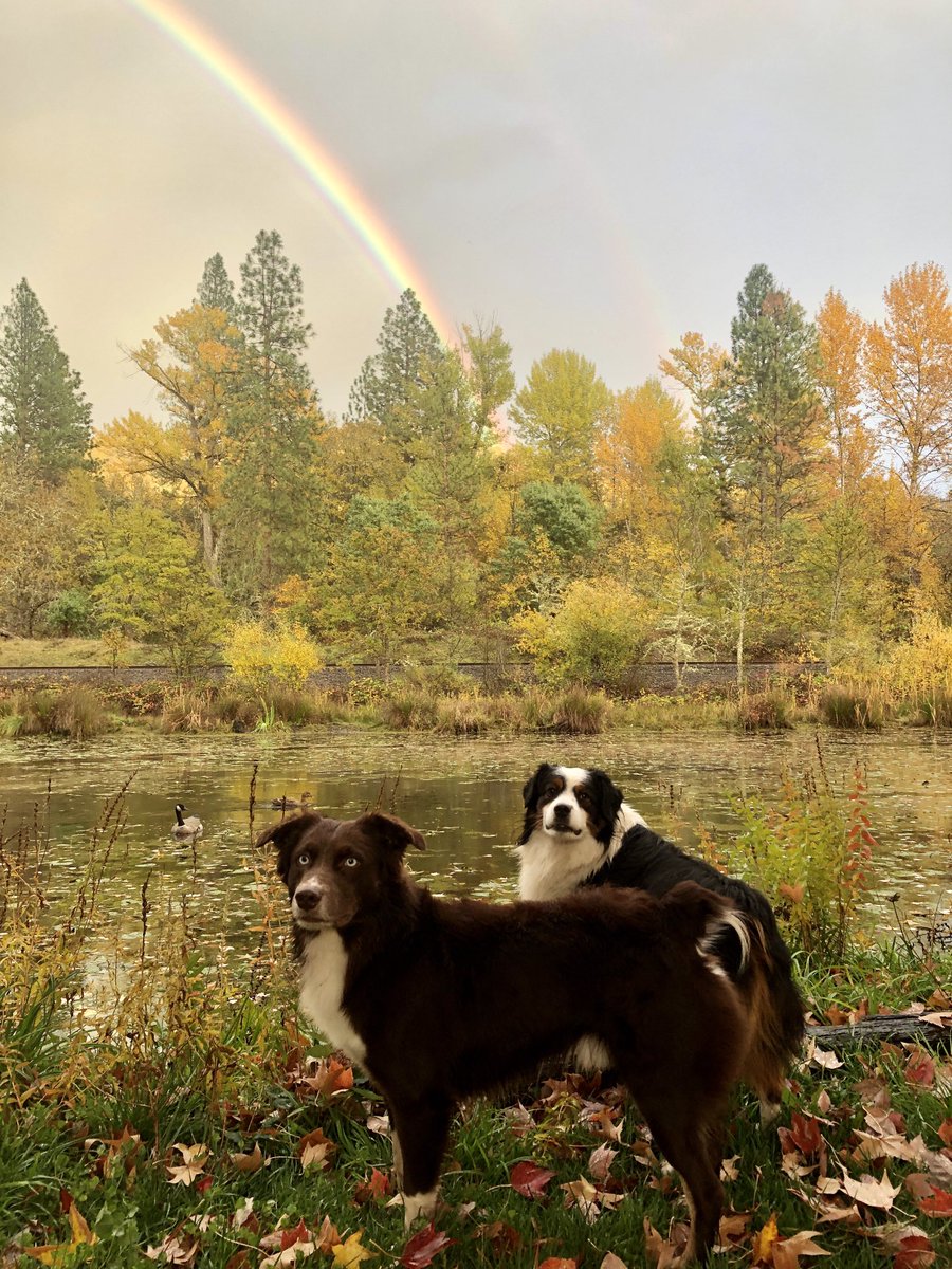 leepfinney's tweet photo. #Posers #DoubleRainbow #Nature https://t.co/zAxJlVzsxh