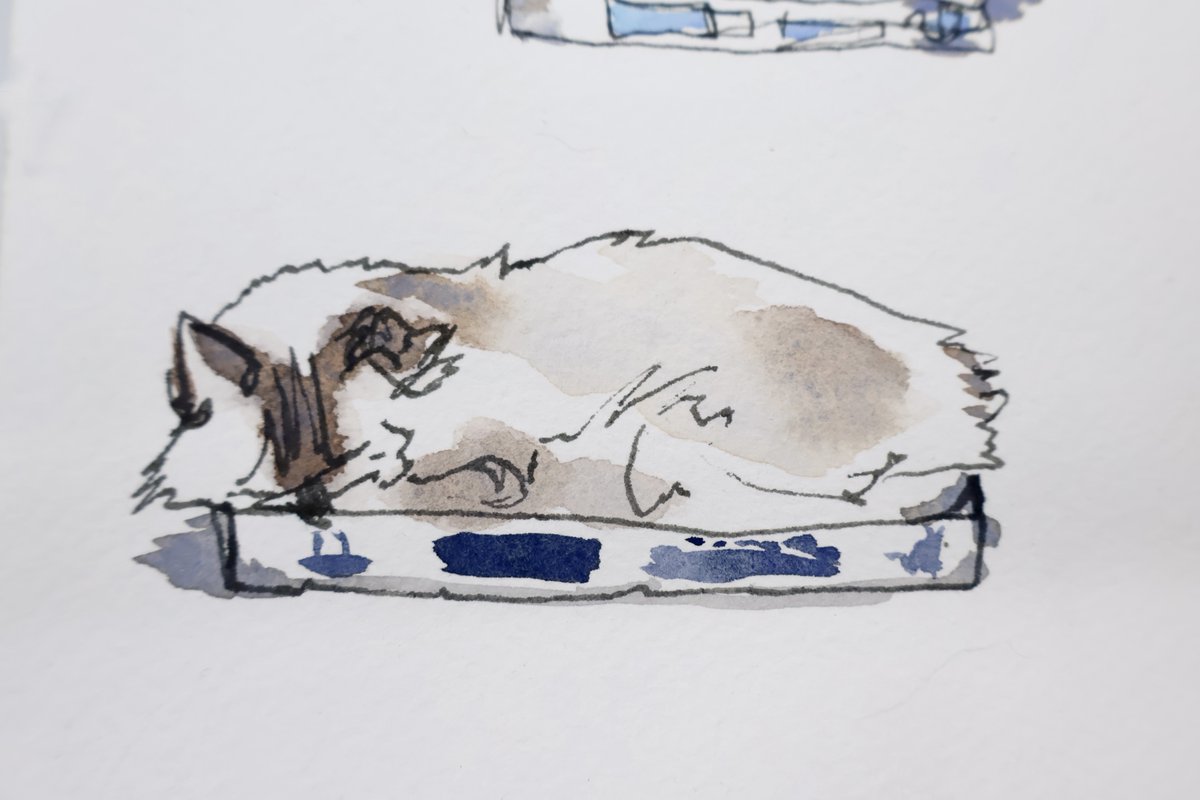 I really like the way this drawing of our cat Shiro turned out. Sometimes these fast ink and watercolor sketches manage to capture the feeling with just a few gestures, they can feel almost like snapping a casual picture.