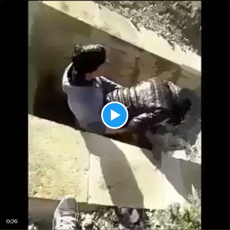 AlNeelon92082's tweet photo. Part 💖
+51223