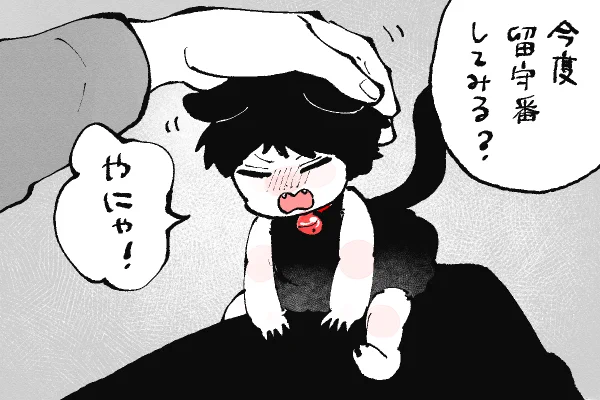🐱キラキラにゃんこ生活
あっちでイチャイチャ💕こっちもイチャイチャ💕 