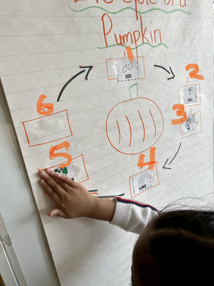 @kgriffinfamily tweet media