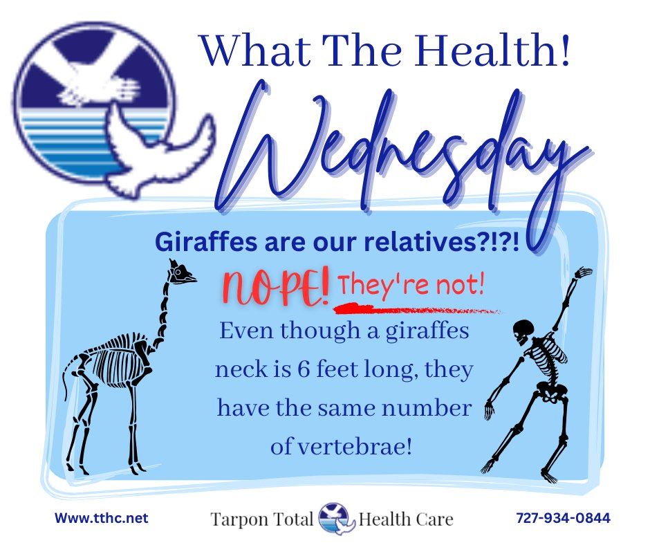 TarponTotalHC's tweet photo. Well, that's interesting! 

#WhatTheHealth #TheBodyIsAwesome #TTHC #DrJohnHuy #SpinalAdjustmentsYouCanTrust #ChiropracticWORKS #GetYourSpineAligned  #TarponSpringsChiropracticClinic https://t.co/0IcEXUEivJ