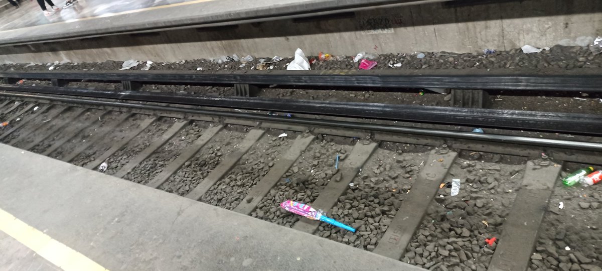 Makel_Leon's tweet photo. @MetroCDMX @MetroCDMX en constitución de 1917 hay pertenencias de más
Muchísima basura en todas las vias https://t.co/rNCkrL22B2