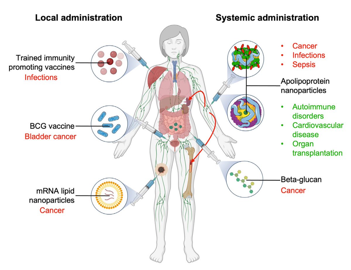 EricTopol's tweet photo. How to train our immunity, not just against infectious diseases but also vs cancer, autoimmune conditions  https://t.co/m8zeimuWM9 @cellhostmicrobe @Radboud_Uni https://t.co/1luYLFSwgI