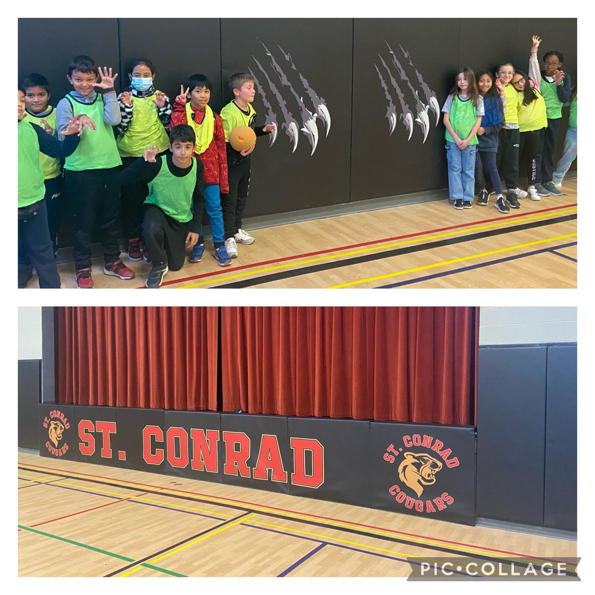 St. Conrad School TCDSB tweet media