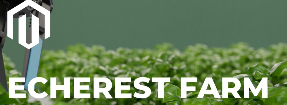 Echerest_'s tweet photo. *ECHEREST FARM INVESTMENT*
We venture into different Farm cash crops, by investing into different products as possible , with the capital been generated by our investors, https://t.co/KdzWTHGiXh