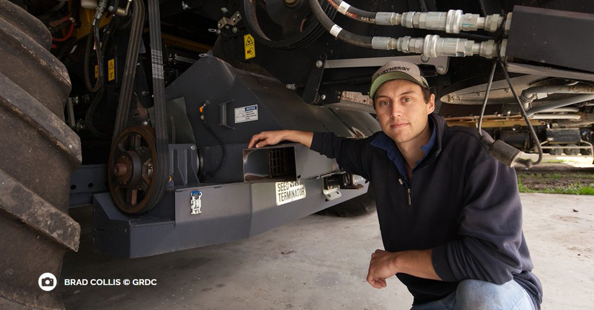 The Williams family began harvest weed seed control in 2017 when they introduced a <a href="/seed_terminator/">Seed Terminator</a> mill to their weed management program 🚜

They say their investment is paying off with less weed pressure and less chemicals applied.

Read their story ➡️ buff.ly/3QkNjjN