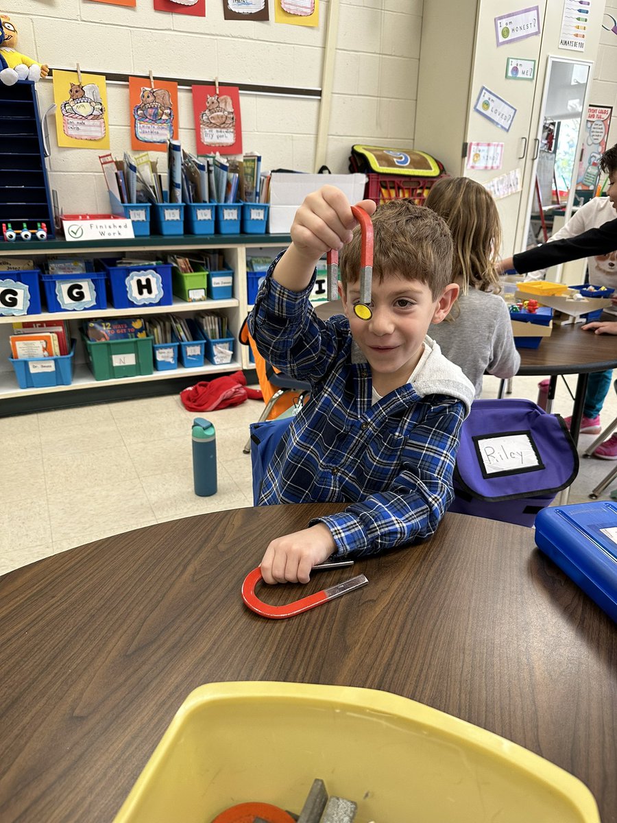 Stephanie Lajam tweet media