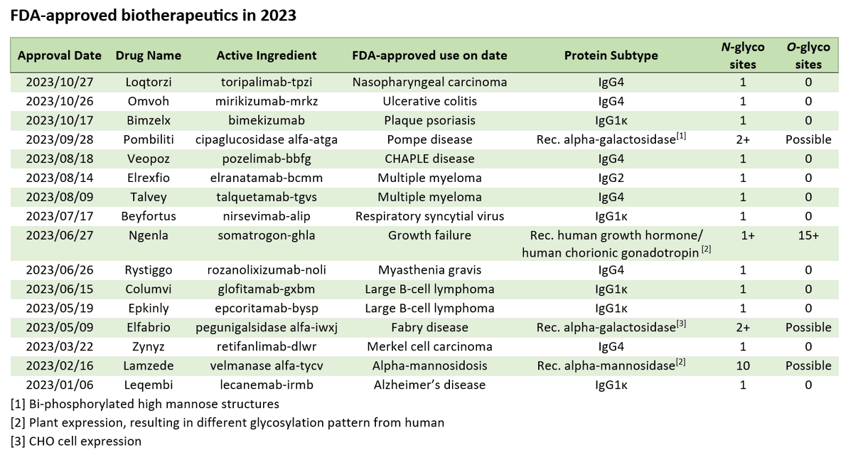 Glycosylation is important and unavoidable in the biotherapeutic space. Here, these therapeutics exploit glycans to target and improve the half-life of patient treatments.
Even with a known expression host, the glycosylation of a biotherapeutic requires experimental determination