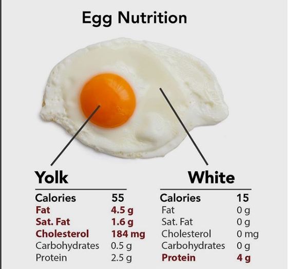 Eggs are a powerhouse of nutrition! 🥚🍳 Explore the incredible health benefits and essential nutrients they offer. #EggNutrition #ProteinPacked #EggcellentChoice #HealthyEating #NutrientRich #EggBenefits #EggFacts #ProteinSource #Superfood #BreakfastEssentials #GoodEats