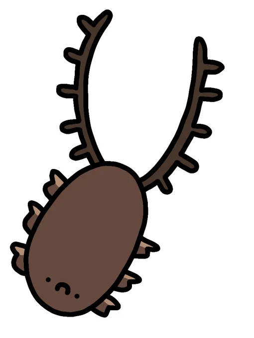 コヒゲナガハナノミ 
