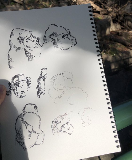 ダメだ猿は機敏すぎる…四つ脚の動物へ行こう。 