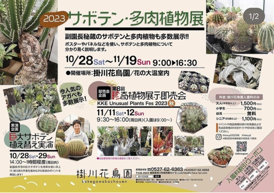 OZ_Botanical's tweet photo. #BOTANICALGARDENOZMAN です‼️
第8回「 #珍奇植物展示即売会 」
KKE Unusual Plants Fes 2023秋 開催のお知らせです❗️🌵

■日程：11月11~12日（土・日）
■時間：9:30〜16:00（両日共）（入園は9:00〜）
■料金：掛川花鳥園入園料のみ
■場所：掛川花鳥園🦩🦉
#オズマン 
#掛川花鳥園 
#植物販売 https://t.co/sAhTZe9Lwr