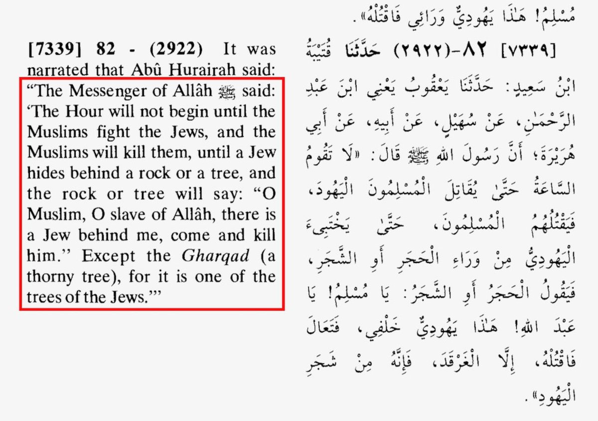 Chidiobimichae1's tweet photo. @visegrad24 Listen everyone the war against Israel is not about land,its jihad, it’s about this prophecy and instructions by Mohammed the war lord founder of Islam, the Muslims all over the world doesn’t really care about how many lives that will be lost to archive this prophecy. https://t.co/6LjrYTm6Kr