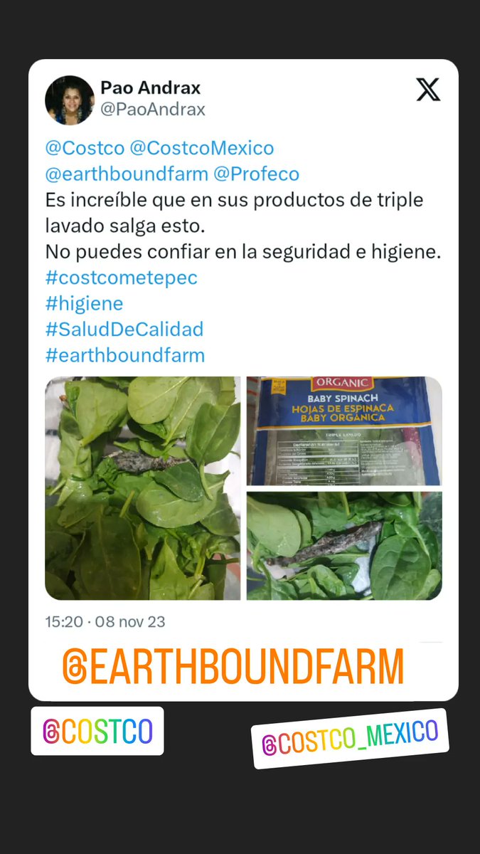 PaoAndrax's tweet photo. @noeliatowers @earthboundfarm https://t.co/gUMFVGcVEL