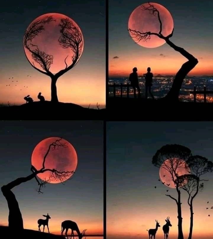 determined ‍confiscation ᠍acquisition
Happy ᱸand ⳿beautiful ﾠdays, I ᱸhope ﾞyou ⳿are here