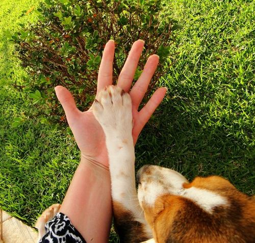 holding hands (or little paws 😆)