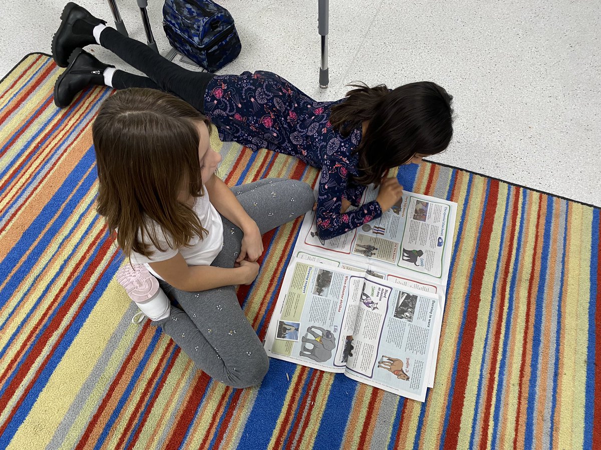 Miss MacKay tweet media