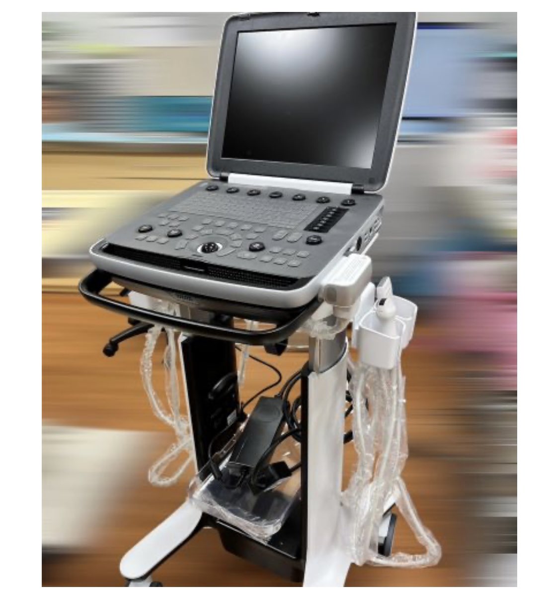 aison 超音波画像診断装置 HM70 EVOのデモをさせて頂きました！ kikaiya.work/?p=10716