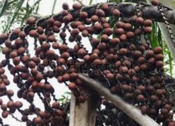 Asociacion Mujeres tweet media