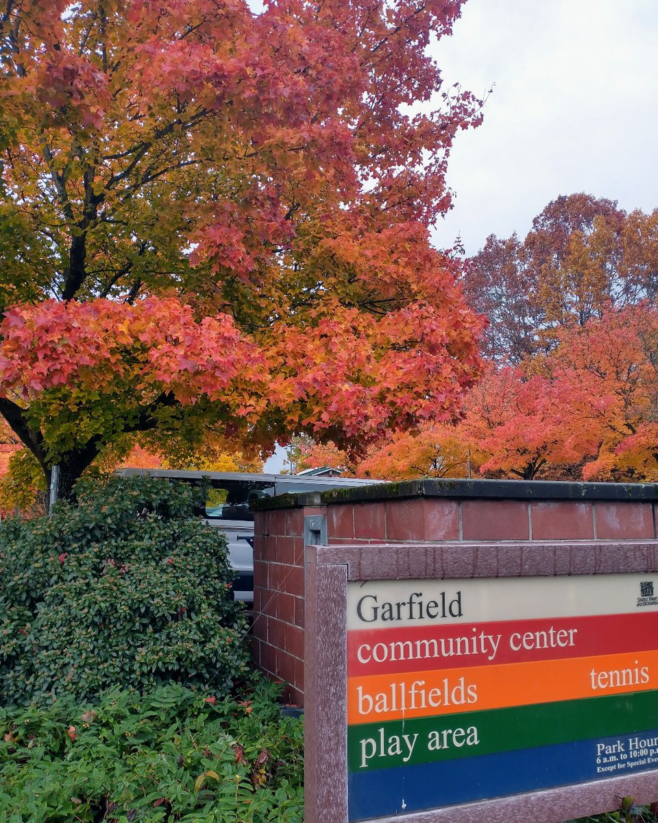 SeattleParks's tweet photo. Even on cloudy days the reds and oranges are really popping this year! 

Photos from Denny Blaine Park, Garfield Community Center, and Denny Park (taken Tuesday Nov 7.)

#FallFoliage #ColorBomb #ParkProud https://t.co/CMNxMglSV2