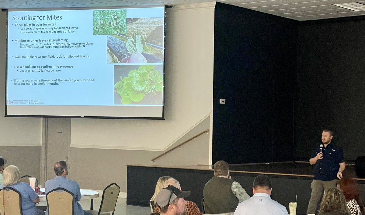 Ed Sikora (@alabamaed) on Twitter photo Extension Horticulture IPM Specialist Aaron Cato <a href="/AaronJCato/">Aaron Cato</a> from the University of Arkansas discussing insect management of strawberries 🍓 this morning at the Alabama Strawberry Production meeting in Jemison, Alabama. #ACES Extension Horticulture IPM Specialist Aaron Cato <a href="/AaronJCato/">Aaron Cato</a> from the University of Arkansas discussing insect management of strawberries 🍓 this morning at the Alabama Strawberry Production meeting in Jemison, Alabama. #ACES