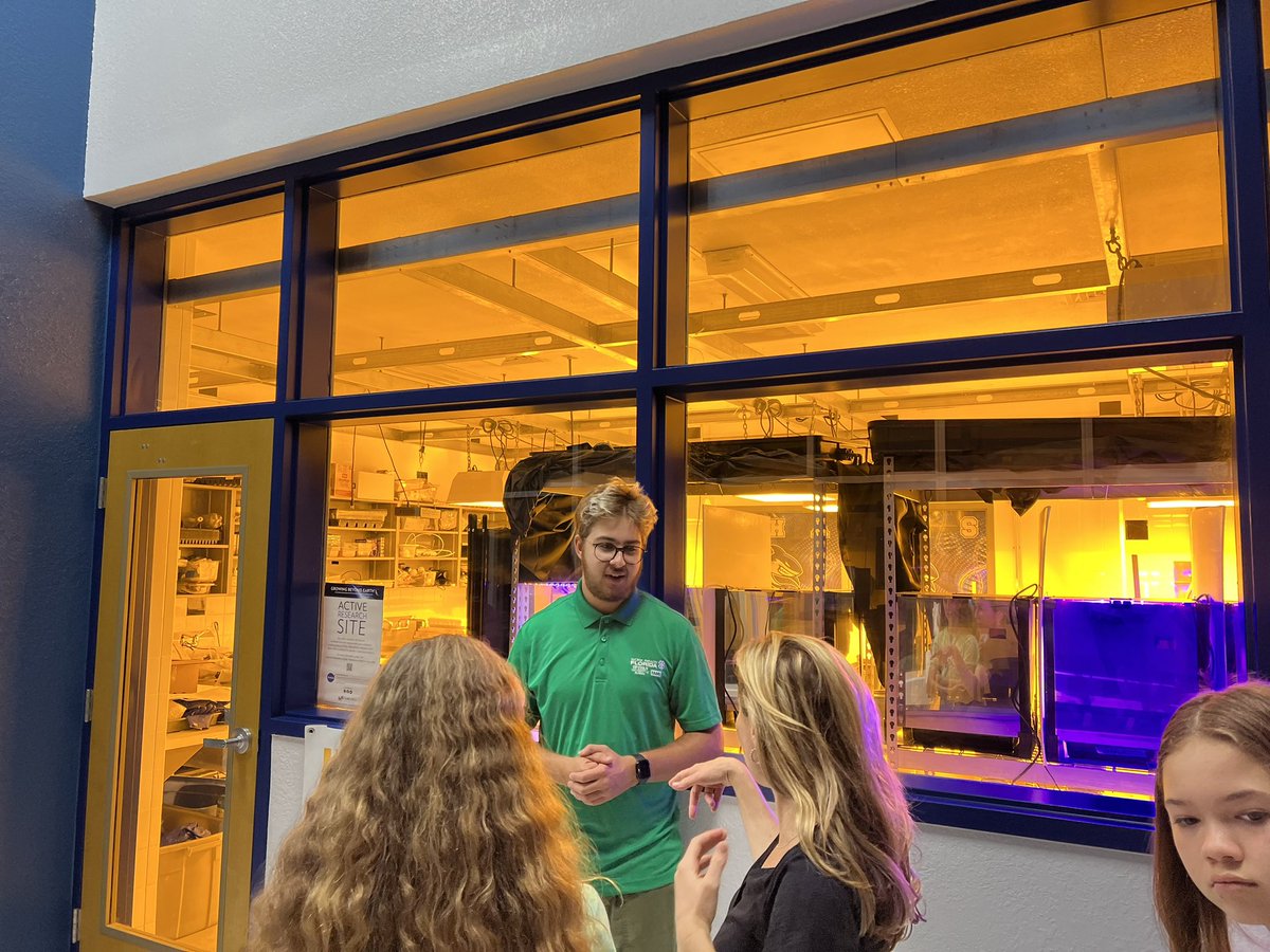 Allison Castellano tweet media