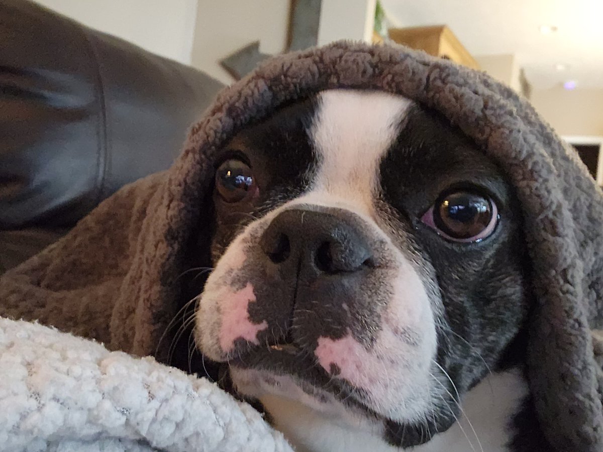 Sarah Neumann tweet media