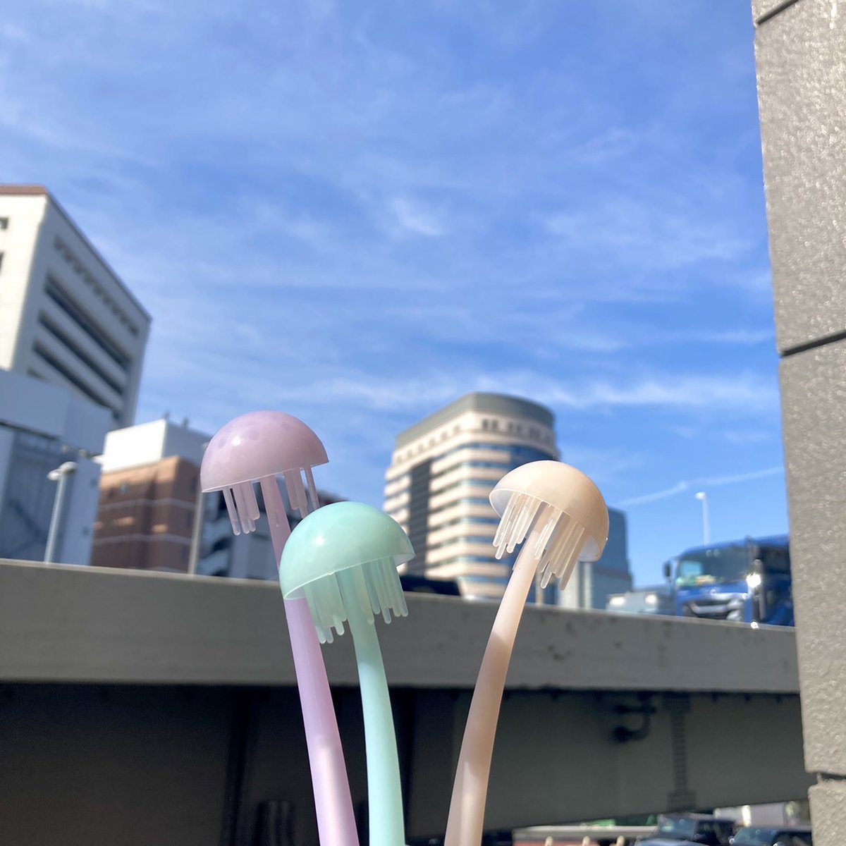 おはようございます 東京日本橋の天気は🌤️/20℃ 毎月9日は ＃えのすい