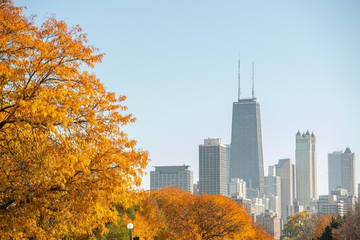 ChooseChicagoMx's tweet photo. Las visitas gratuitas de Chicago Greeter son guiadas por locales amigables que te mostrarán el Chicago auténtico. También descubrirás joyas fuera de lo común. ¿Quieres reservar un tour? Haz clic en este enlace.
https://t.co/eHsLttvOnT 
#ChicaGOandKnow #Chicago https://t.co/lrEpvFWzrl