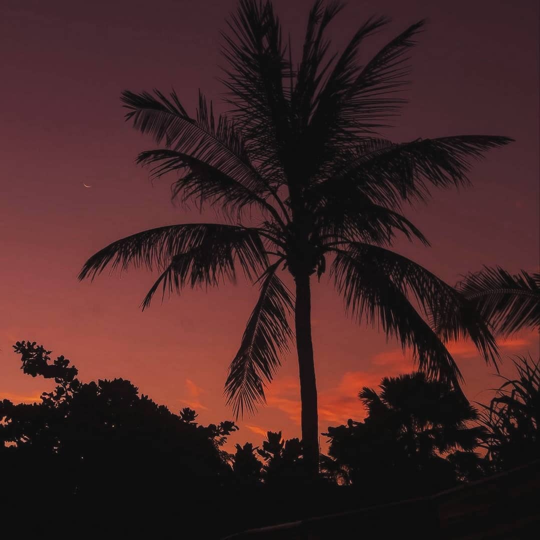 subgenus ﾠcomposed
There ᠎is ﾞno ᠎better ﾞscenery ᱸthan in ᠍memory, ‍so  the ​best  thing is ​not ᠍to ᠍revisit ﾞthe ﾠsame ‍place.