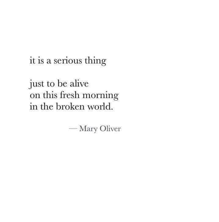 Mary Oliver 💔💔