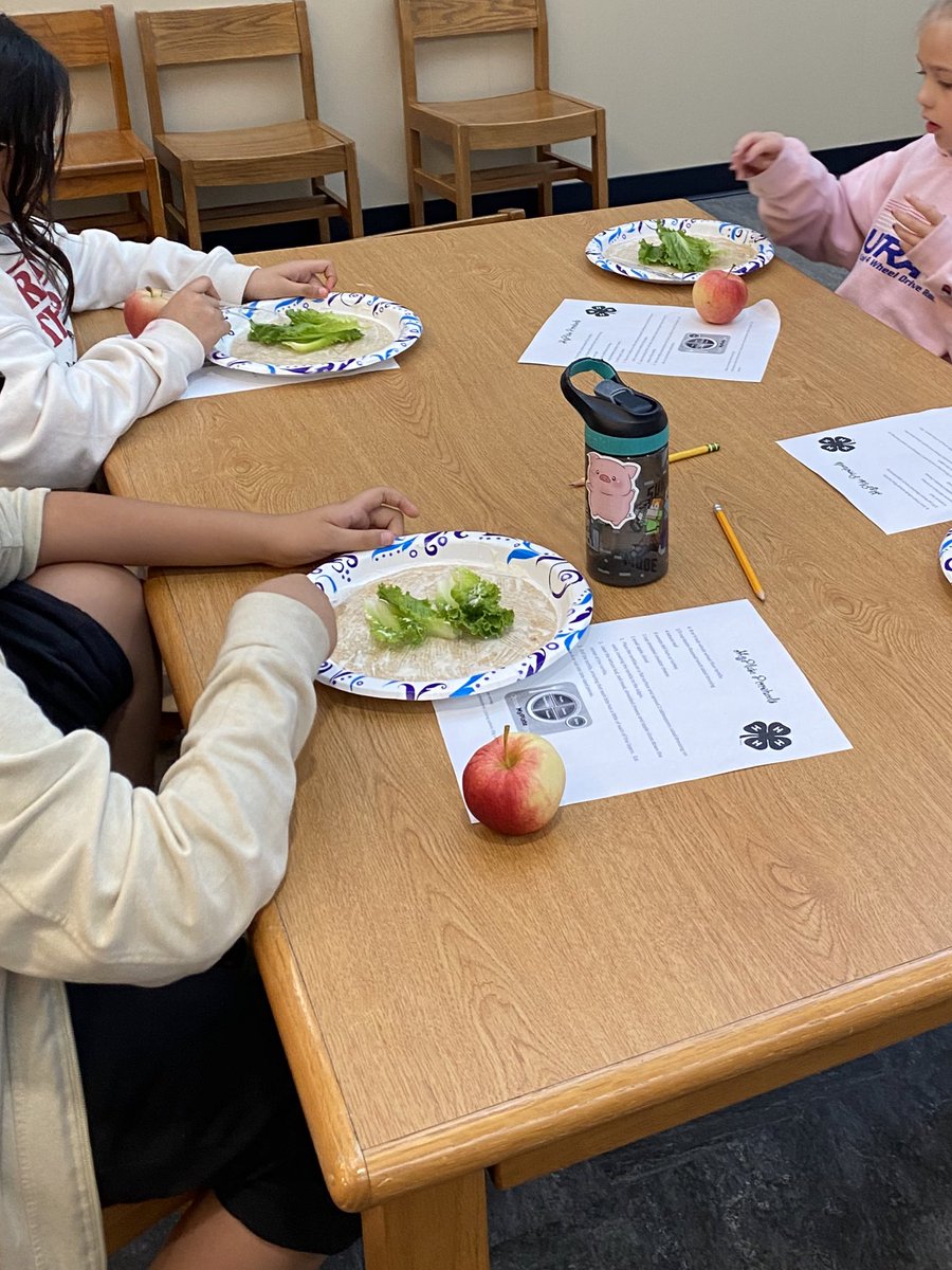 November brought the start of our <a href="/EversParkElem/">EversParkElementary</a> Cooking Club. Students are learning all about healthy eating habits by preparing new recipes. Maybe these future <a href="/Denton_High/">Denton High School</a> Broncos will be in culinary classes some day! Thank you teachers for leading the way. #DentonISDengaged