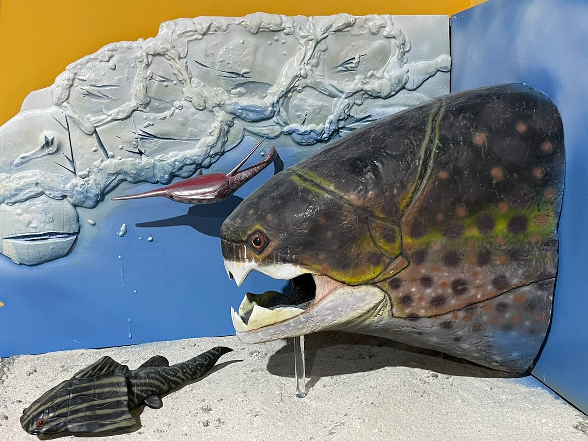 Devonian mass extinction diorama. We sculpted this diorama for a touristic attraction, here is not fully finished #dunkleosteus #rhinopteraspis #groenlandaspis #devonian #sculpture #paleontology #science #prehistoric #fish #sea #marine #animals