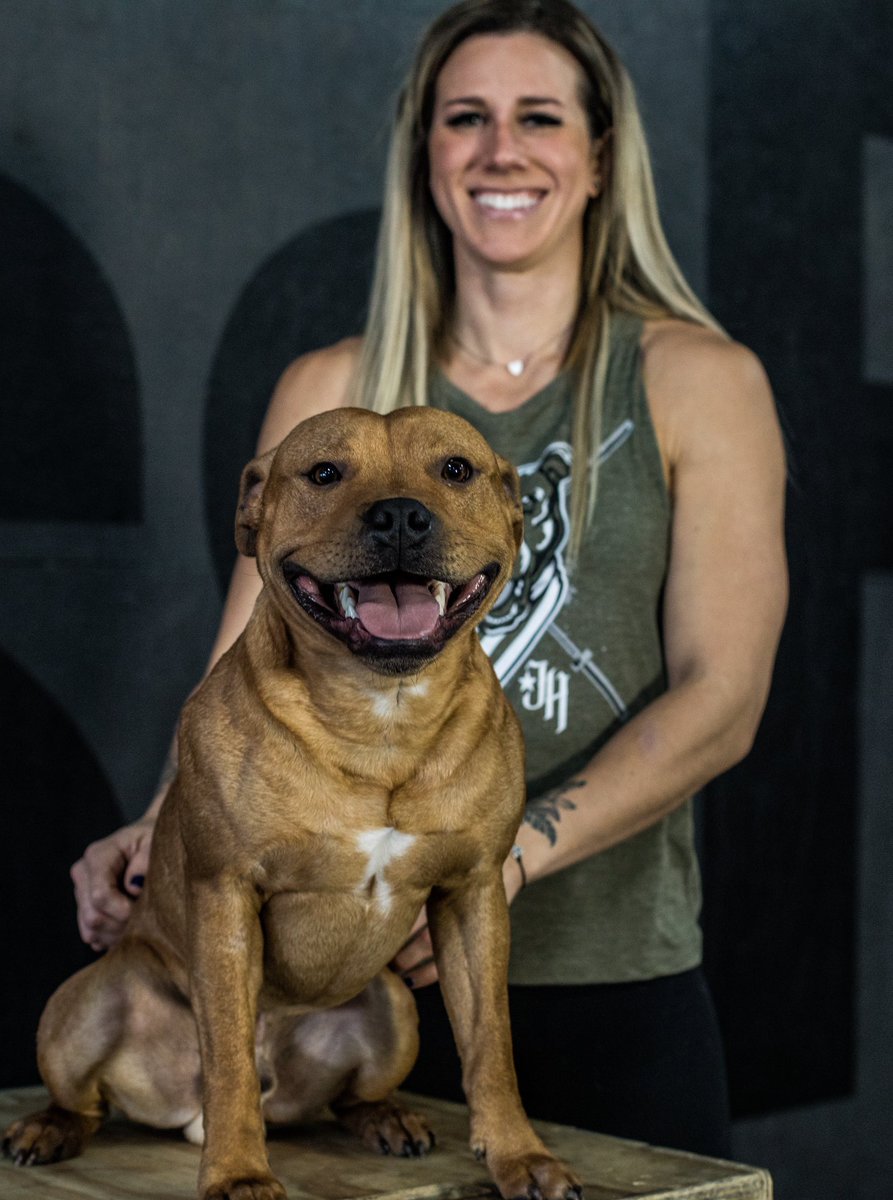 Jekyll_HYDE_App's tweet image. When you’re too damn handsome to share the stage with a T-shirt. 🐶📸 jekyllhydeapparel.com
.
.
#dogs #bullybreed #jekyllhyde