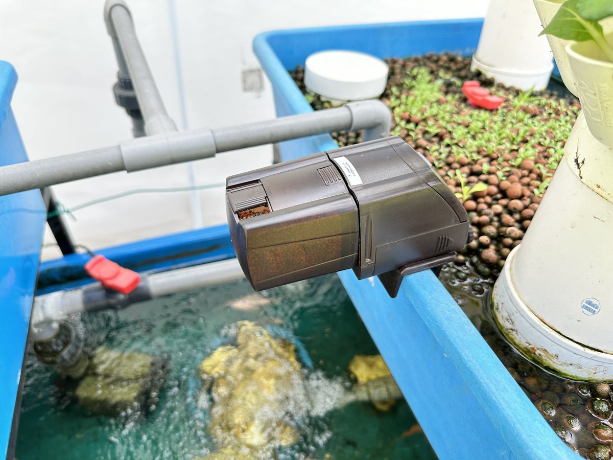 Auto feeder

#aquaponics #aquaponicfarming #aquaponicsystem #aquaponic #pertanian #peladang