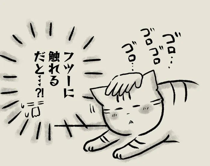 触れることすら難しかった元保護猫→根気強い触れあいがもたらした結果、まったく別猫に!?【連載】交通事故にあった猫を拾いました#136|ねこのきもちWEB MAGAZINE
