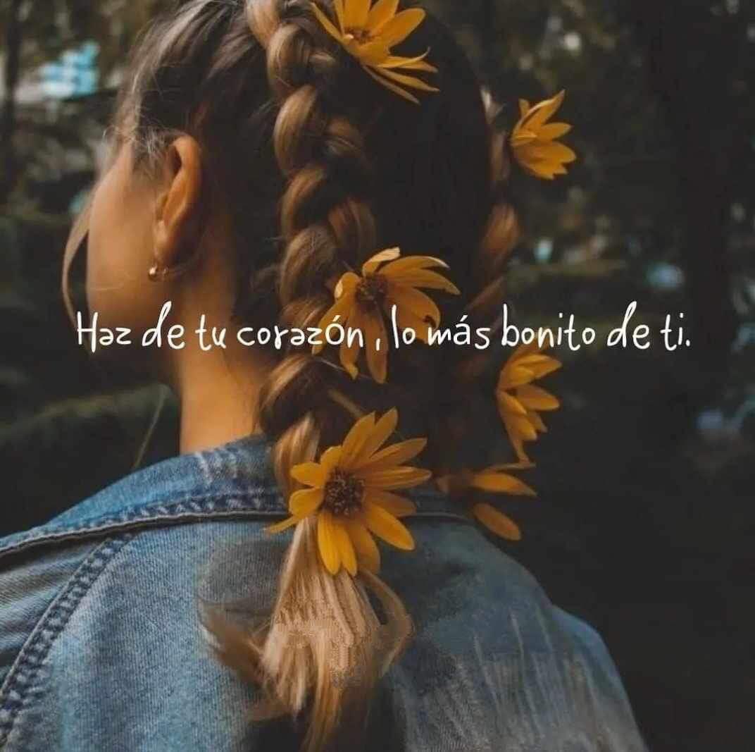PaholaNovoa's tweet photo. Buenas noches 😴🌙 que descansen y sueñen con sus angelitos 🌷✨🌷 https://t.co/4yGXKiTjS3