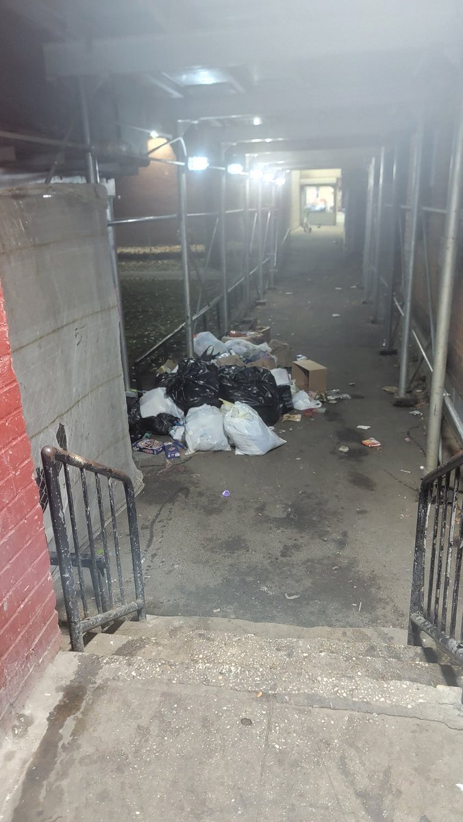 BrownMeeks's tweet photo. @monicamoralestv please come out to Sotomayor houses I beg you. The rats Has taken over the front and back stoop. Look at the rat that runs across the bottom step. We are terrified to come inand out of the building . @NYCHA won't do anything about it. Please help us. https://t.co/q8cBaRvUvE