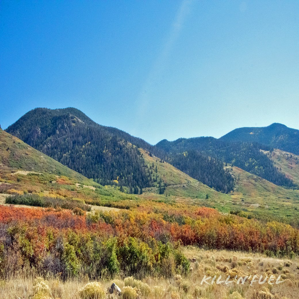 Fall In The Colorado Rocky Mountains

#fall #autumn #fallcolors #falllovers #loveautumn #AutumnVibes #autumnleaves #AutumnPhotography #AutumnMornings #beautiful #sunny #bright #colorful #autumncolors #fallviews #falllandscape #coloradoinfall #coloradofall #MondayMood