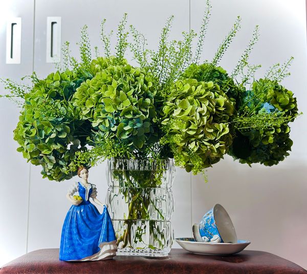 Mercy81vn's tweet photo. Green is a lucky color :))
#Flowers https://t.co/z6VHKU53Lq