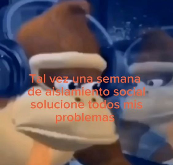 mitsuoxp's tweet photo. tal vez https://t.co/1sHSMGOHmT