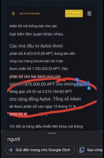 phiiu16's tweet photo. APT sắp phân bổ 1 số lượng lớn token sắp tới vào ngày 11/12 
Không biết đợt mint cái NFT kỉ niệm 1 năm có chút cháo gì không  =))) https://t.co/zcwScqYgIK