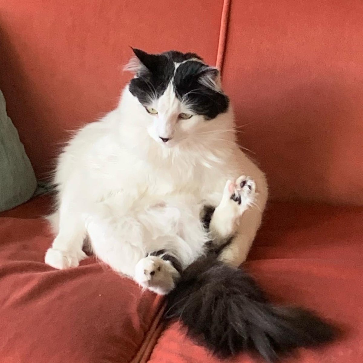 Carson Hugill tweet media