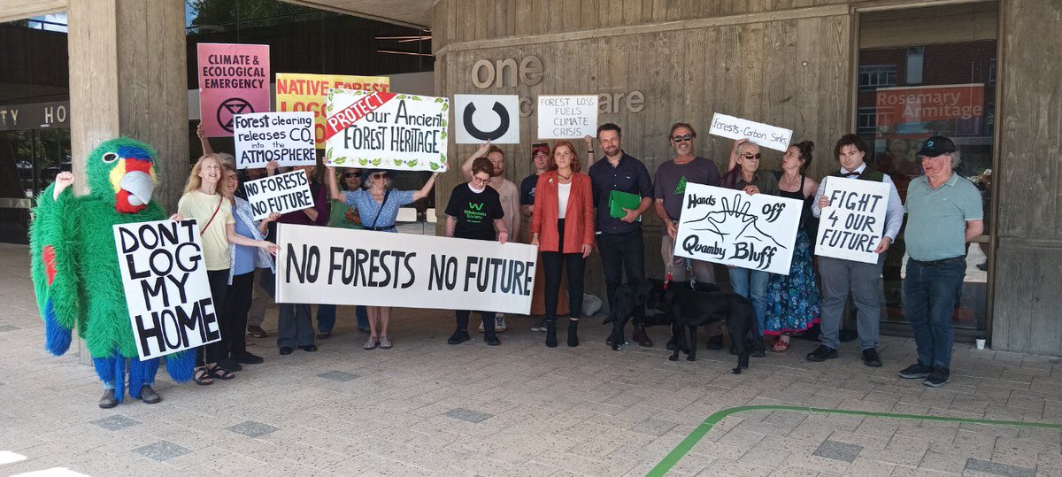Hearing in Launceston magistrates court over Forestry Tasmania facing criminal charges for alleged illegal logging. #politas