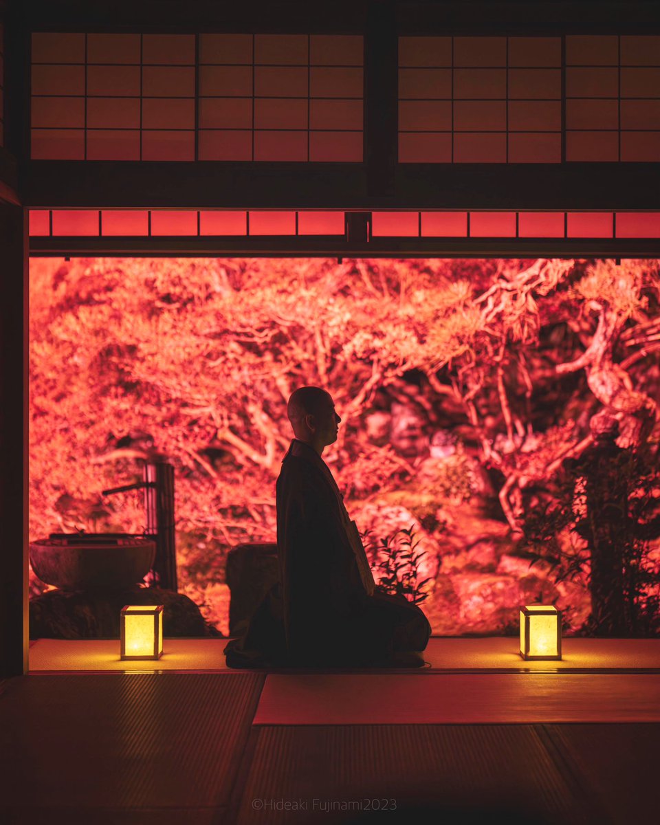 wasabitool's tweet image. 岐阜県山県市東光寺のドウダンツツジ