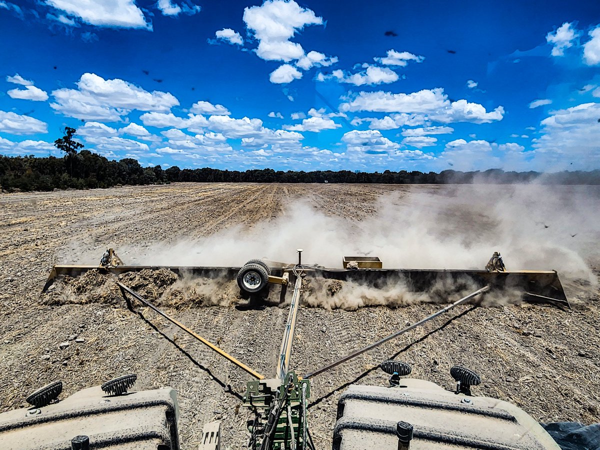 Forecast 30-50mm didn't come through so onwards we go.
Sexennial reno and rebrush is coming up a treat with a GPS guided graderboard. #TheLevelStory