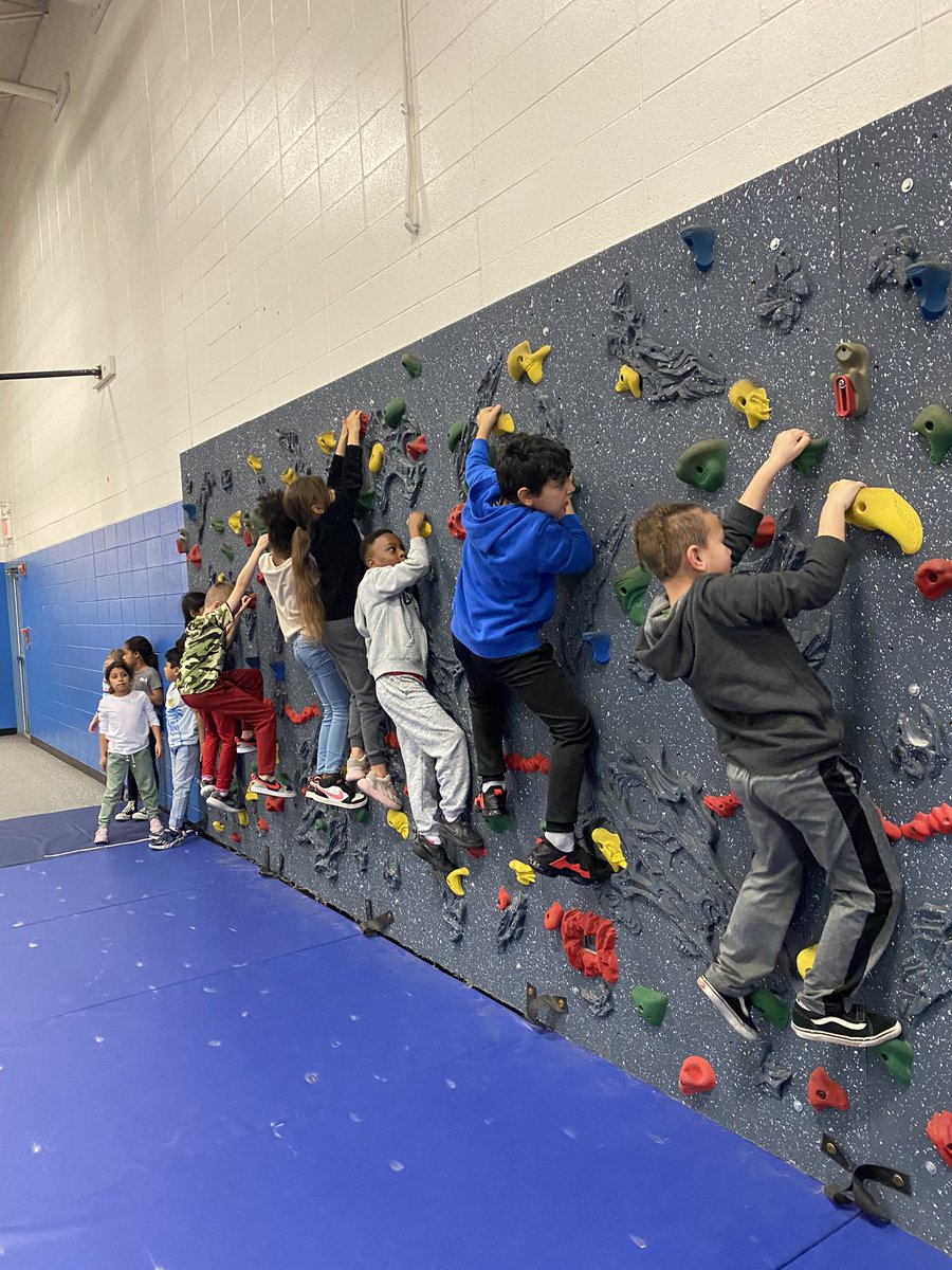 Debi Steffenhagen tweet media